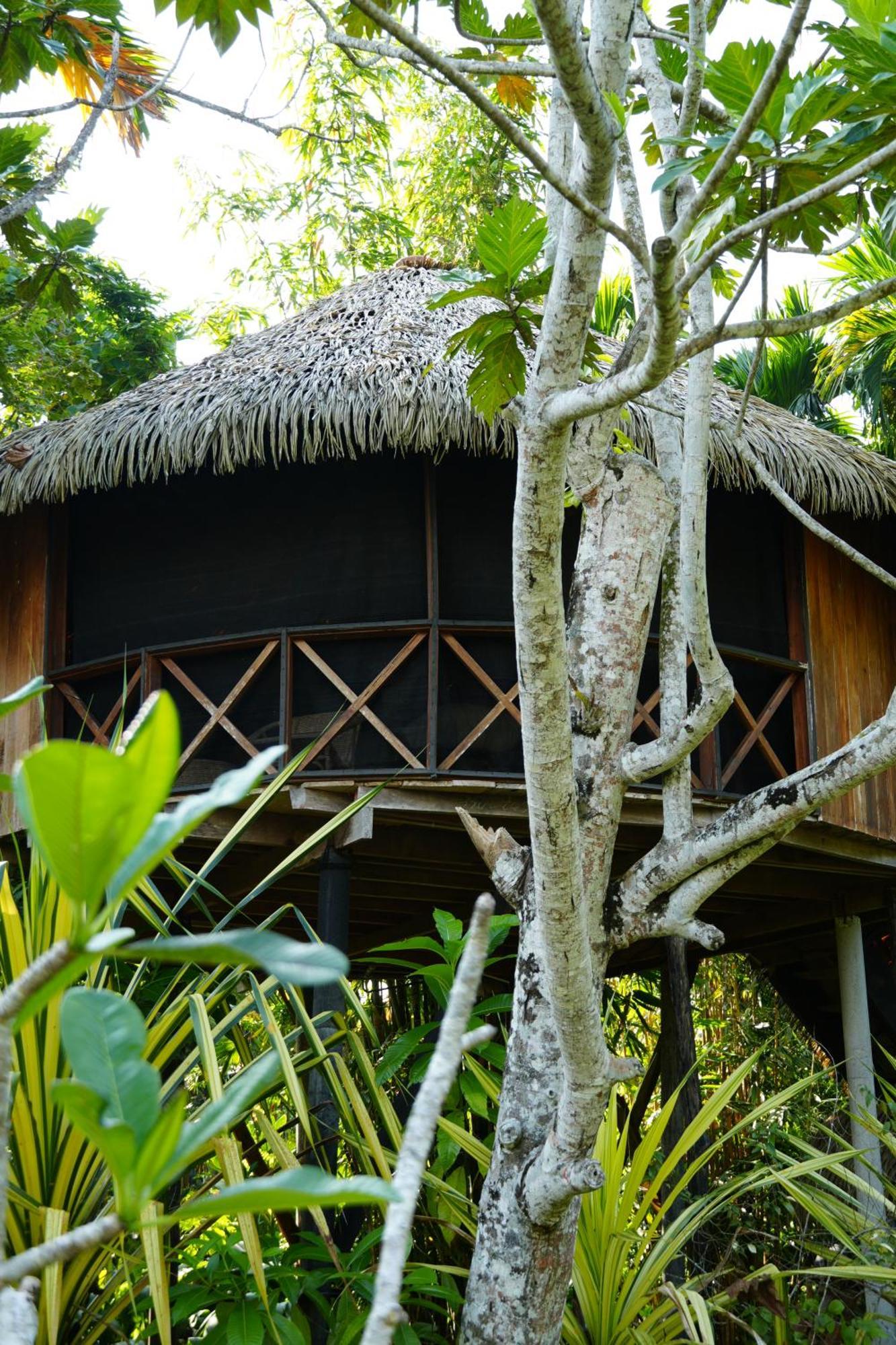 Huma Terra Lodges Hikkaduwa Ngoại thất bức ảnh