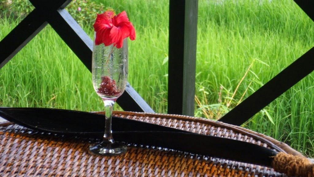 Huma Terra Lodges Hikkaduwa Ngoại thất bức ảnh